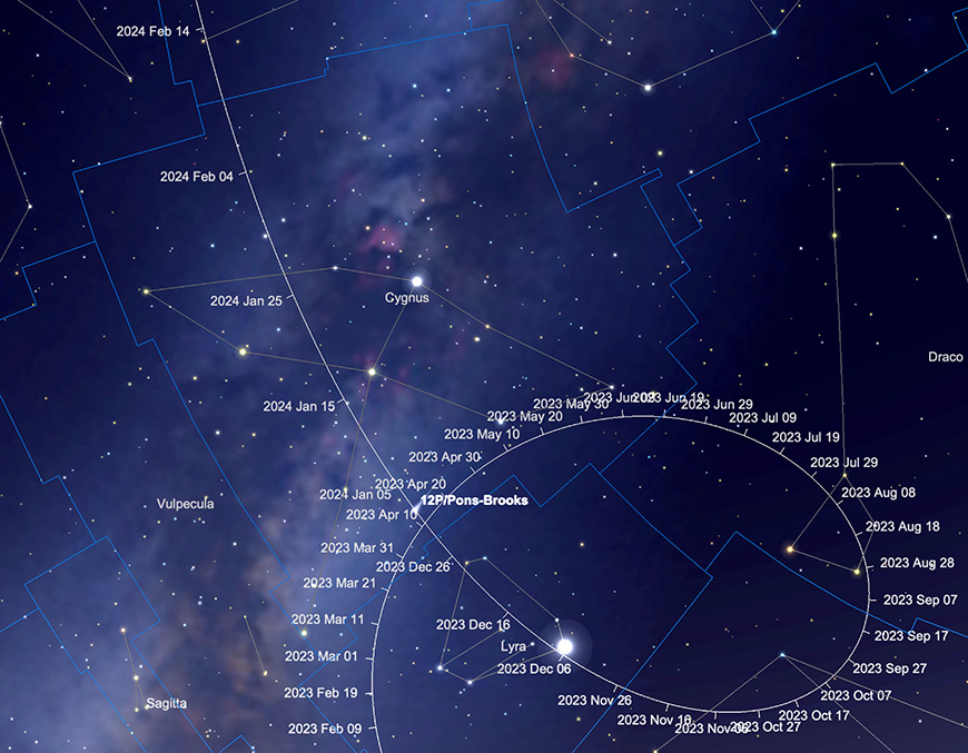 Comet 12/P path through Cygnus, January 2024 (comet position shown 1st January) .  Image created with SkySafari 5 for Mac OS X, ©2010-2016 Simulation Curriculum Corp., skysafariastronomy.com