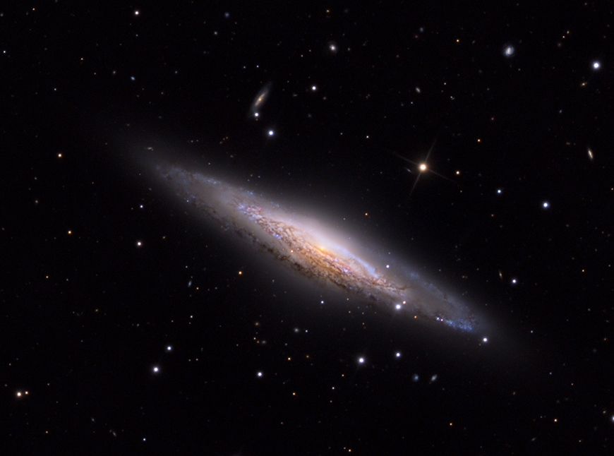 The UFO Galaxy, NGC2683. Image Credit: Adam Block/Mount Lemmon SkyCenter/University of Arizona - Caelum Observatory Creative Commons