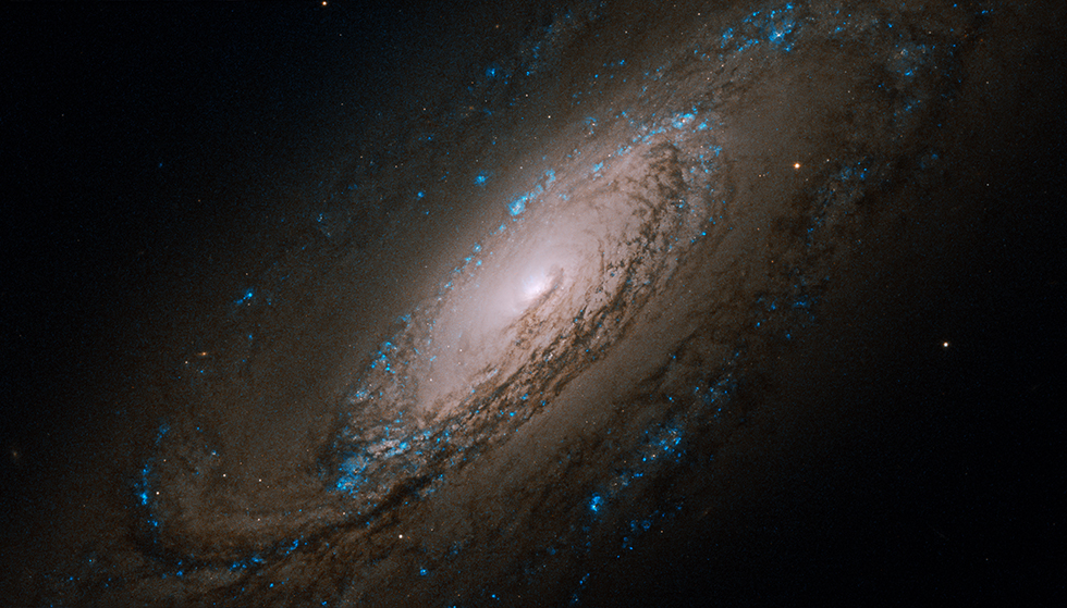 NGC5005 - HST Image.  Public Domain.